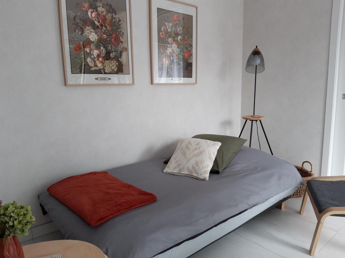 Agape, Elegant T2, 4 Etoiles, Plage Et Gr34 3Km, Centre Ville 750M ฟุยส์นอง ภายนอก รูปภาพ